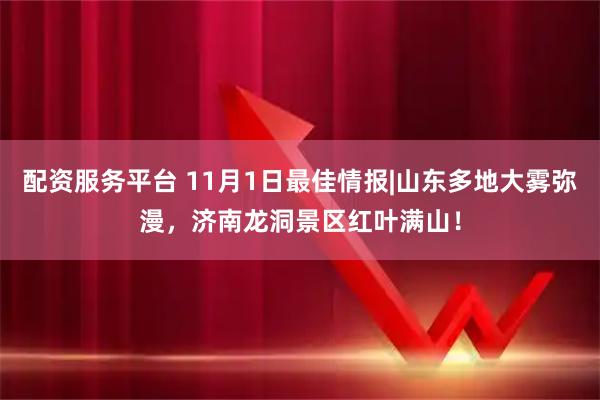 配资服务平台 11月1日最佳情报|山东多地大雾弥漫，济南龙洞景区红叶满山！