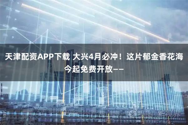 天津配资APP下载 大兴4月必冲！这片郁金香花海今起免费开放——